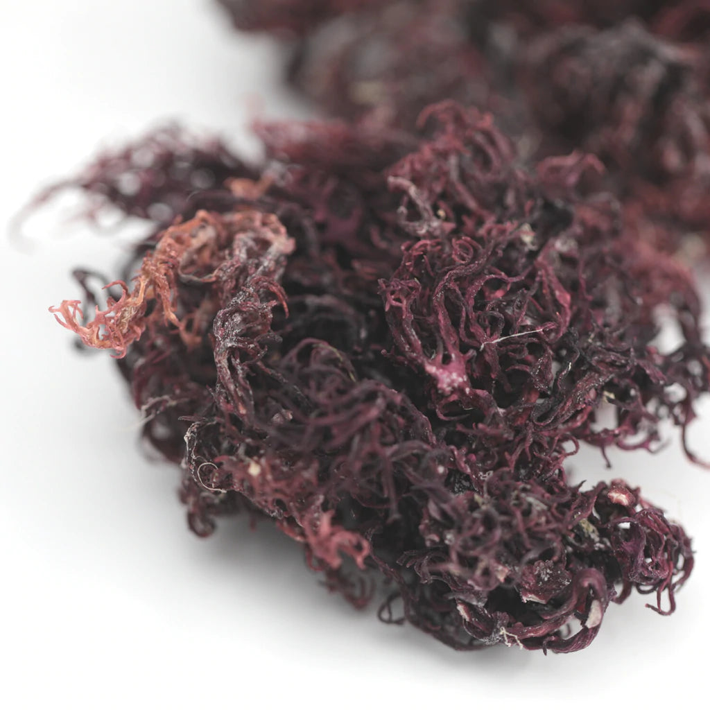 Sea Moss (Dry)